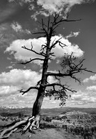 Reaching Across