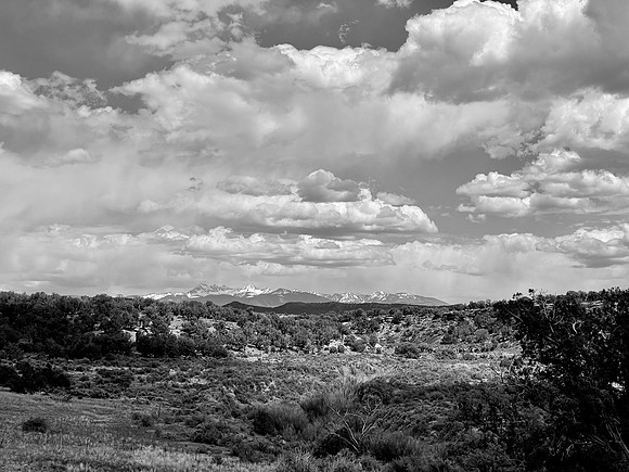 San Juan Forest