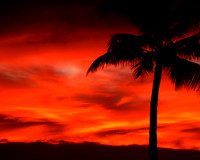 Hawaii