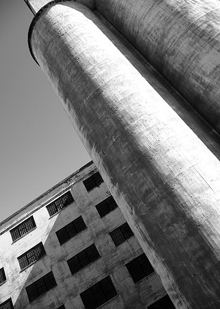 Grain