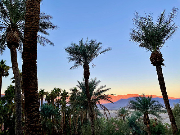 Oasis Sunset