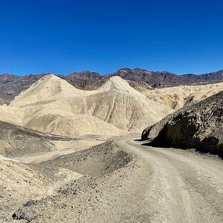 Mules trekked here