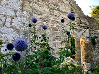 England and Wales - Castles and Palaces