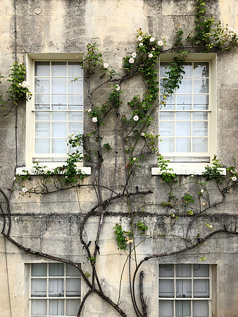 Climbing