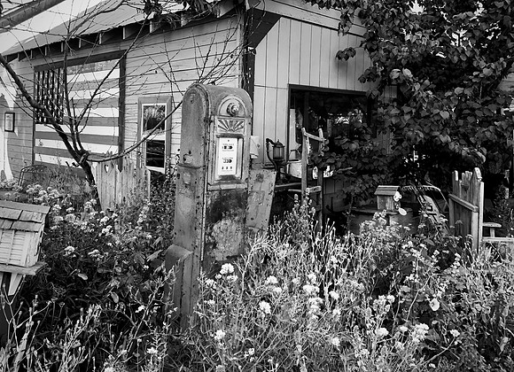 Pump and Flag