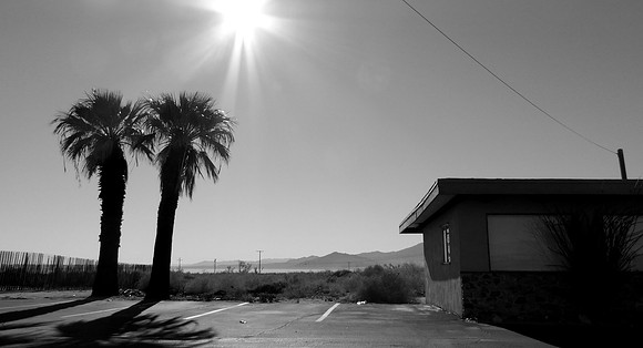 Salton Dreams