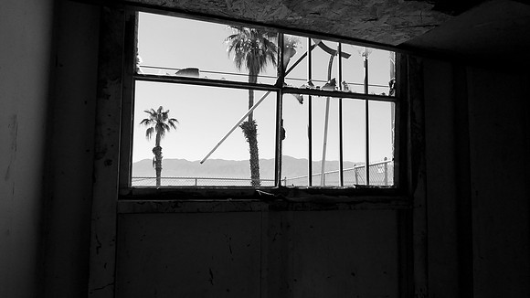 Salton Dreams 2