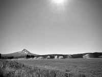 Irrigation