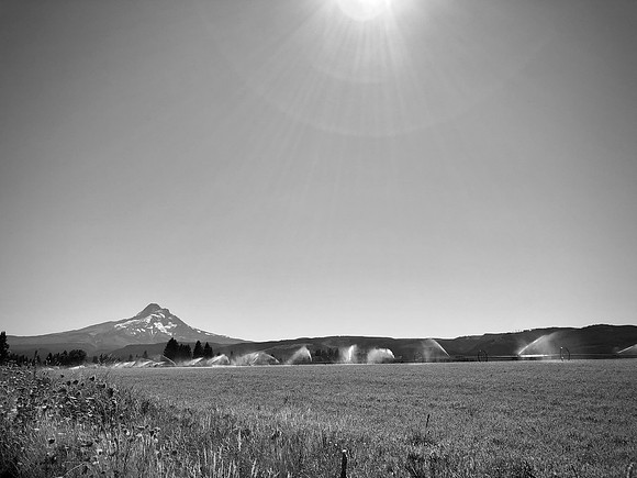 Irrigation