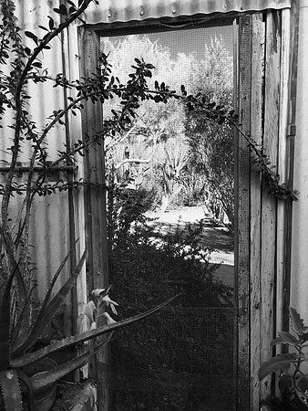 Corrugated and Overgrown
