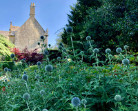 England - Cotswolds