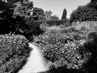Hidcote