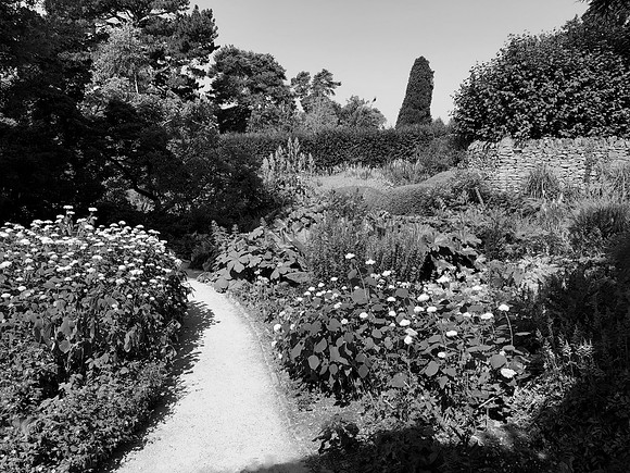 Hidcote