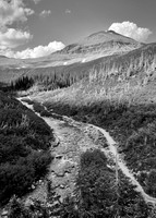 A River Runs Through It