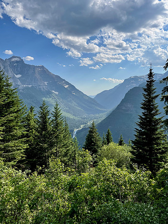 Glacier Park Green