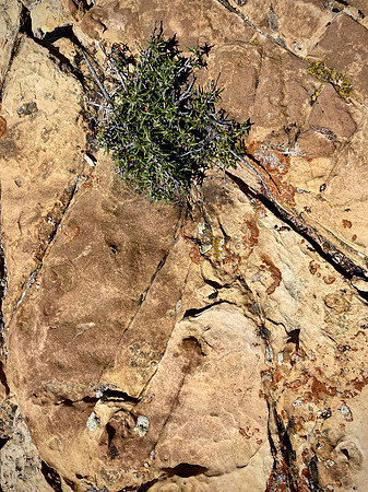 Cliff