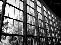 Curtainwall Windows