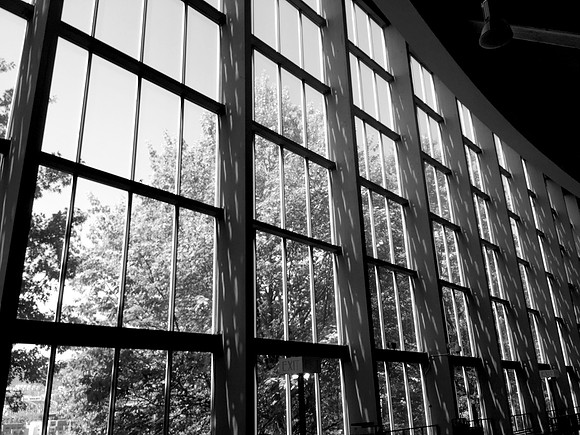 Curtainwall Windows
