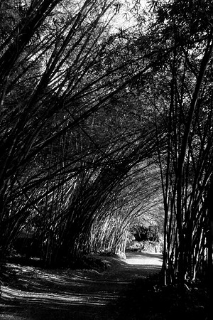 Kauai Tunnel