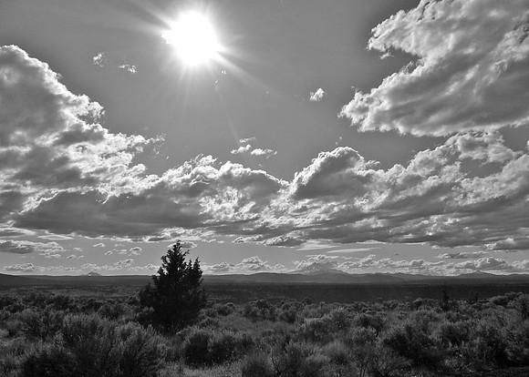 5pm Sage