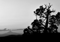 Jefferson Dusk