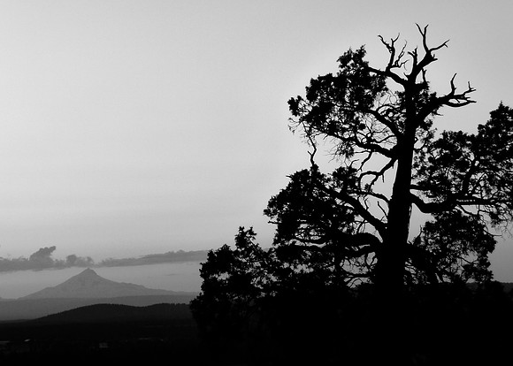 Jefferson Dusk