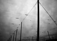 Wires