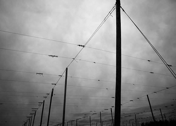 Wires