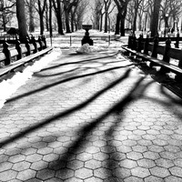 Winter, Central Park