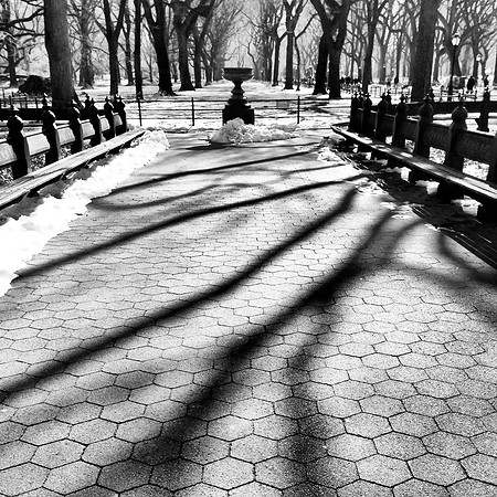 Winter, Central Park