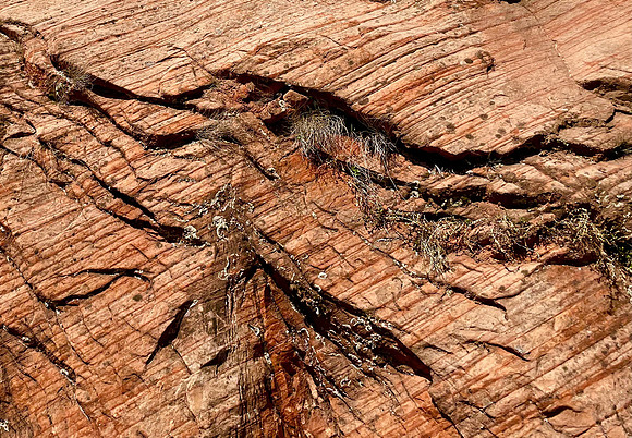 Geology 101
