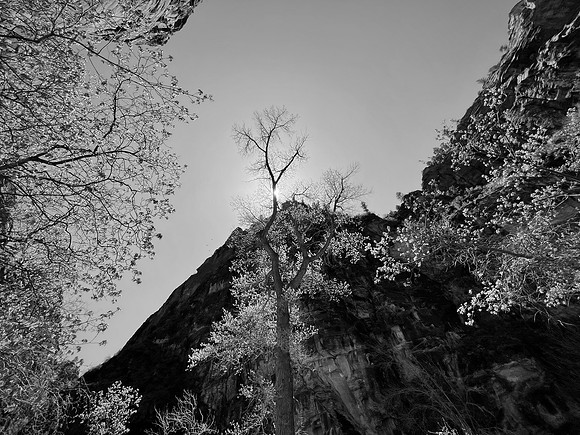 Skyward