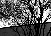 Shielded 1