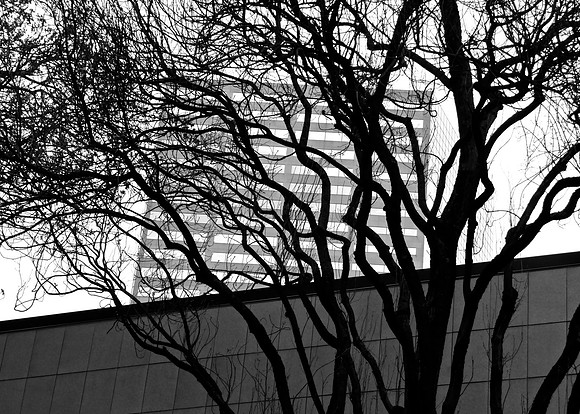 Shielded 1