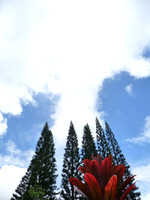 reaching