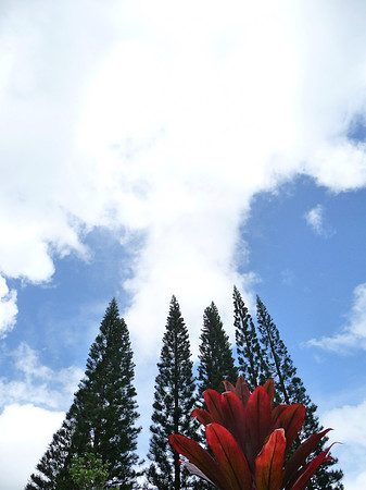 reaching