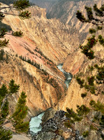 OK, not Colorado...Yellowstone though!