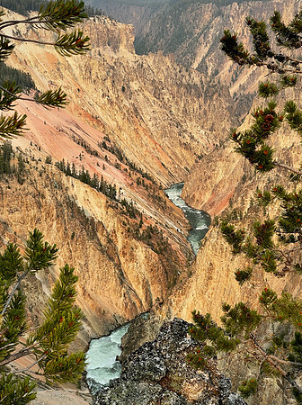 OK, not Colorado...Yellowstone though!