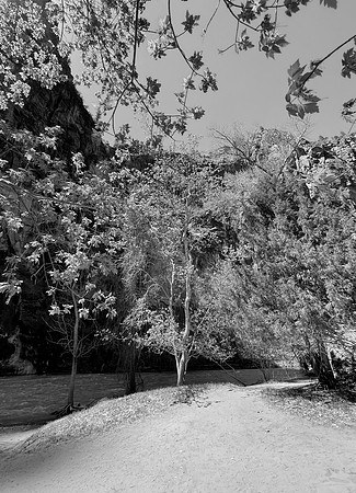 Secret Garden