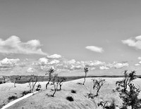 Another Land