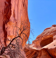 Canyon