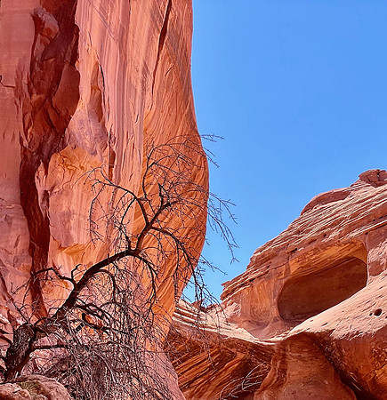 Canyon