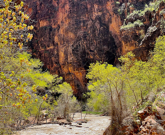 Canyon Color