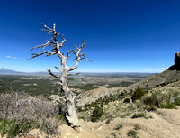 Colorado