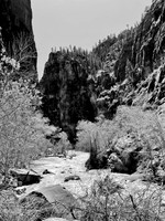 Virgin River